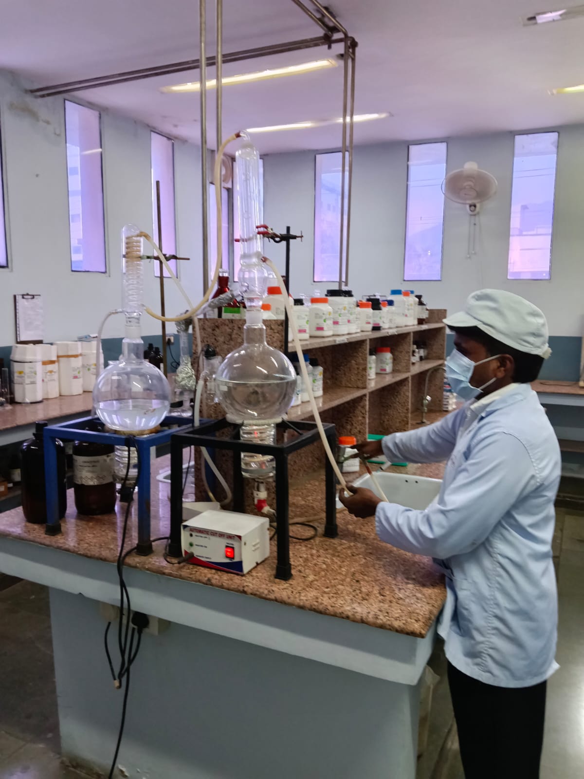 Cold Chain & Storage: Why It Matters at Every Step